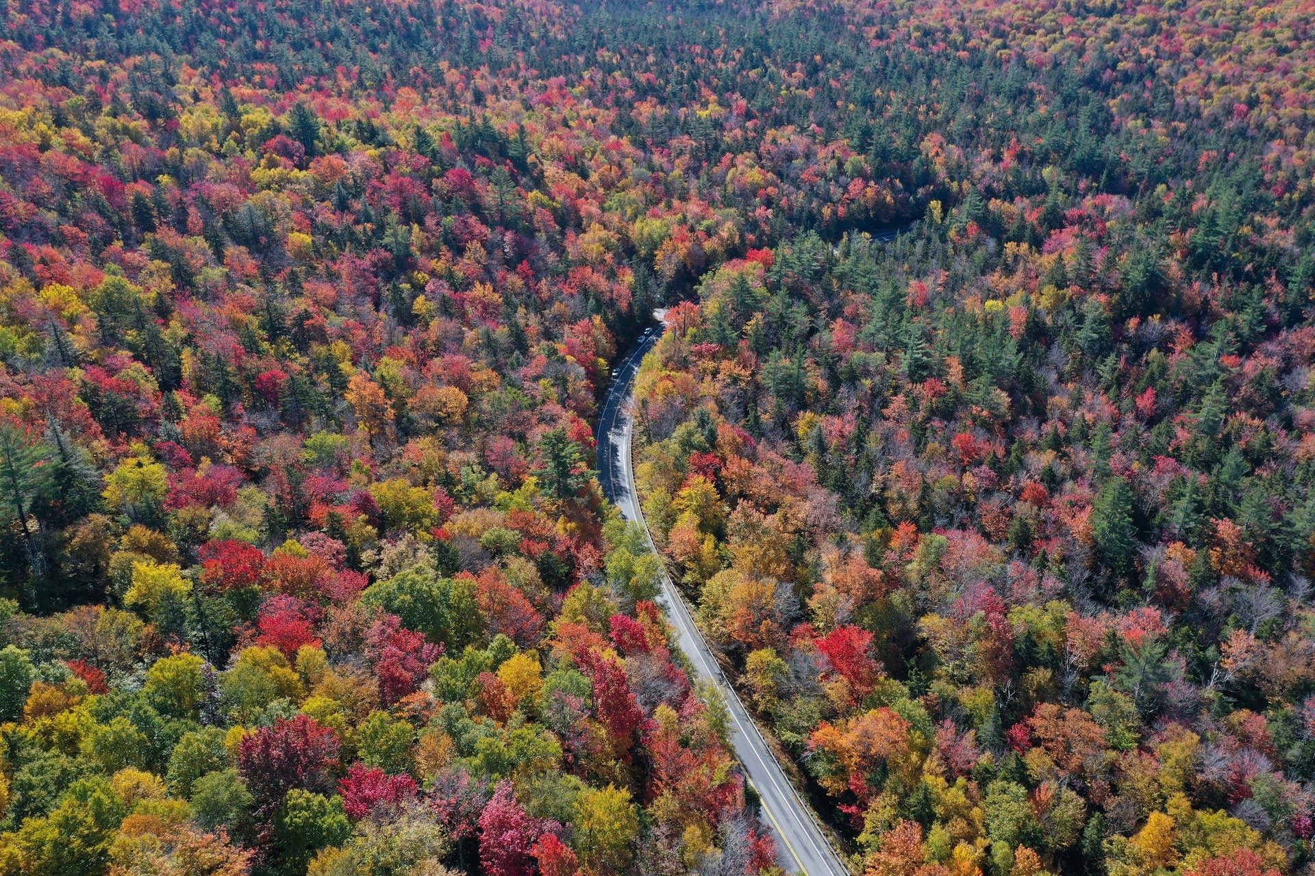 Fall foliage and a winding road