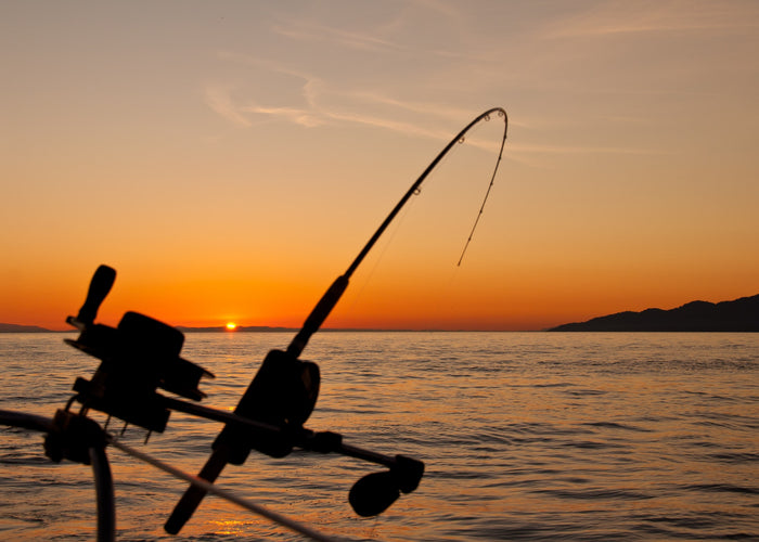 fishing rod mounted on a boat during sunset