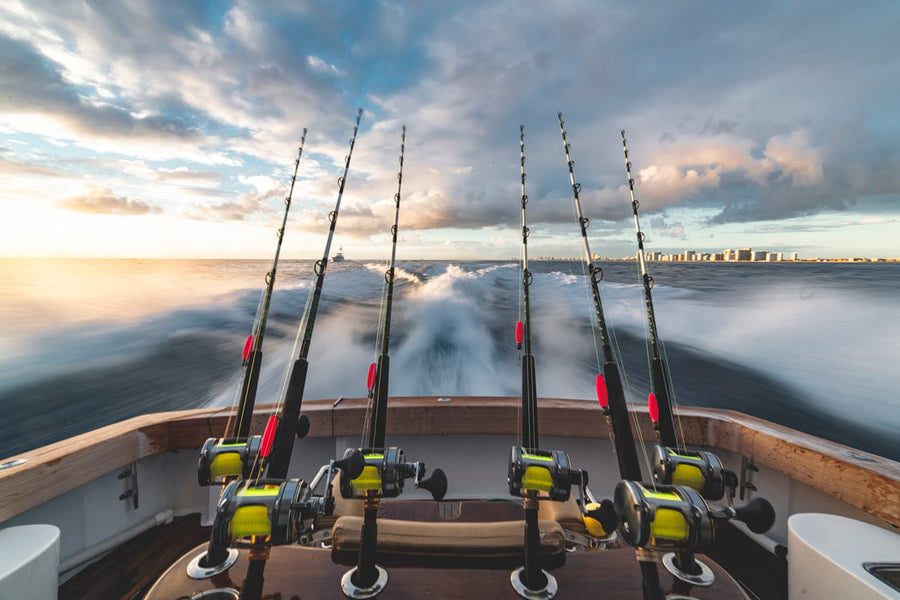 Fishing rods trailing line off the rear of a boat as it moves through the water