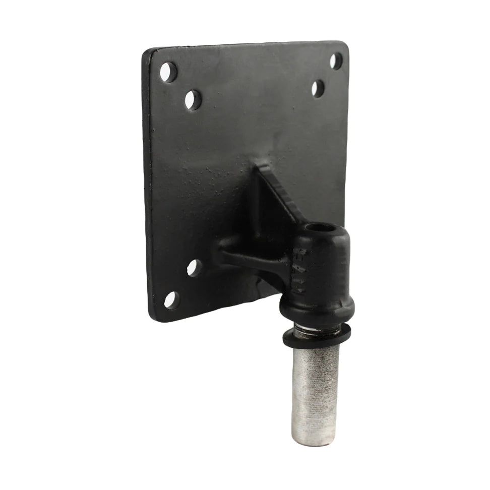 RAM® 100x100mm VESA Plate with 1/2" NPT Post - RAM-246PU